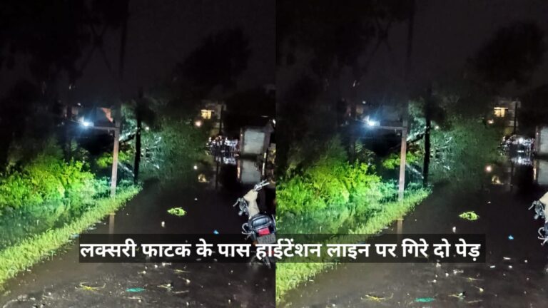 लक्सर में हाइटेंशन लाइन पर गिरे पेड़, आधे शहर की विद्युत आपूर्ति रही ठप