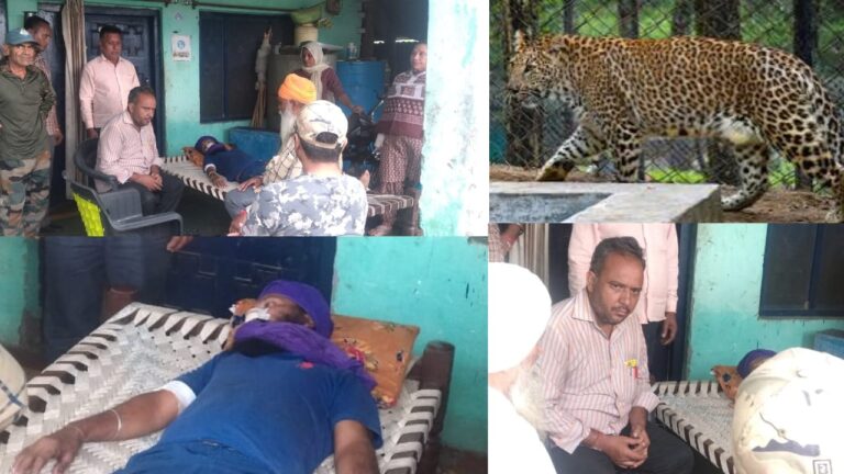 खेत जाते ग्रामीण पर गुलदार का हमला, पीठ पर पंजे के निशान, बाल-बाल बची जान