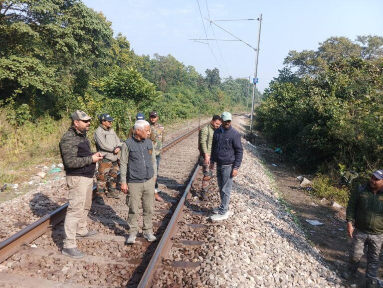 मोतीचूर में ट्रेन से कटकर हाथी के बच्चे की मौत, ट्रेन के ड्राइवर और असिस्टेंट के खिलाफ मुकदमा दर्ज