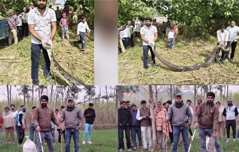 जांबाज़ वनकर्मी गुरजंट सिंह: खतरों से टकराकर बचा रहे इंसान और वन्यजीवों की जान, मिल चुका सम्मान