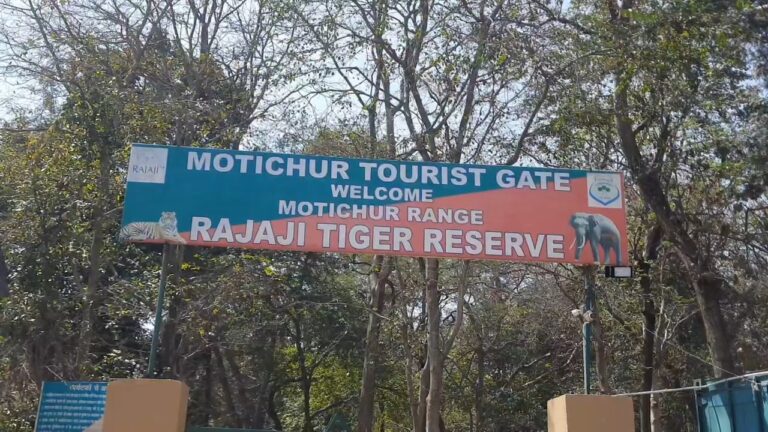 दून एक्सप्रेस ट्रेन का स्पीड लॉग खोलेगा हाथी के बच्चे की मौत का राज, राजाजी पार्क ने लिखा रेलवे को पत्र